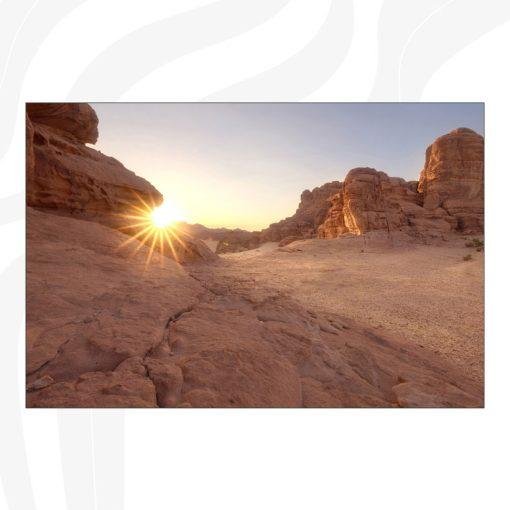 ⁦M56⁩ - الصورة ⁦2⁩