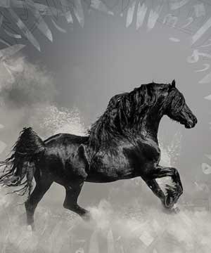 طيور وحيوانات